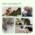 Load image into Gallery viewer, Cat Scratching Post Cat Tree Tower With Bed for Indoor Cats Scratcher Toy Balls 48 x 38 x 42cm - White
