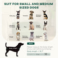 Load image into Gallery viewer, PawHut Dog Sofa Bed, Dog Couch Pet Bed for Small and Medium-Sized Dogs and Cats with Washable Cushion, Anti-Slip Pads, Dark Green
