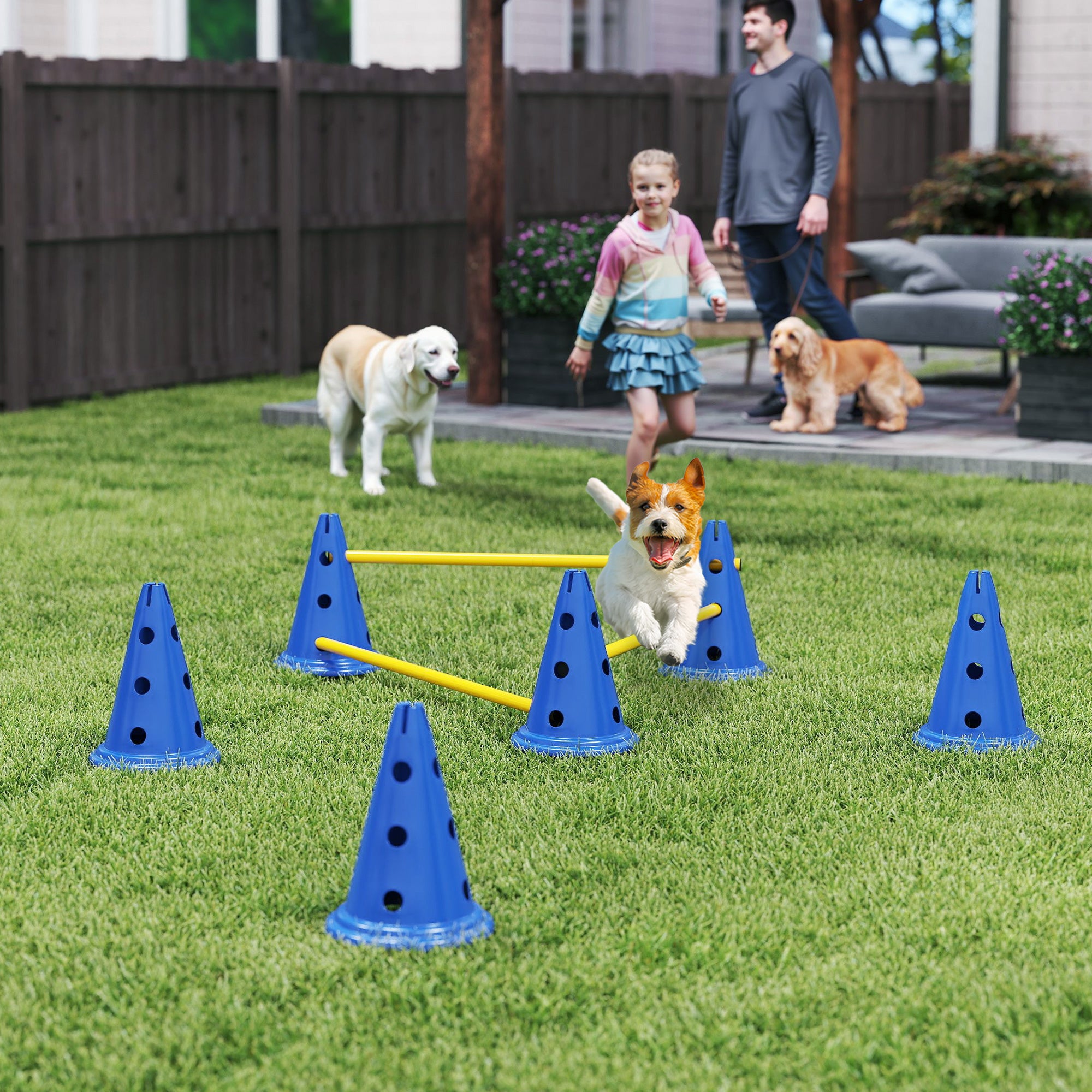 Dog Agility Equipment Set, Portable Pet Jump Training Kit for Six Cones, Six Poles with Carry Bag, Three-Piece Adjustable Height Jumping Obstacles, Blue