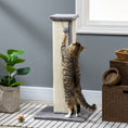 Load image into Gallery viewer, Cat Scratching Post for Indoor Cats, 81cm Cat Scratcher, Vertical Full Scratcher with Natural Sisal Rope, Hanging Ball and Soft Plush, Grey
