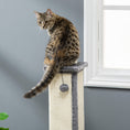 Load image into Gallery viewer, Cat Scratching Post for Indoor Cats, 81cm Cat Scratcher, Vertical Full Scratcher with Natural Sisal Rope, Hanging Ball and Soft Plush, Grey
