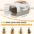 Charger l'image dans la visionneuse de la galerie, Hard-Sided Travel Pet Carrier, Plastic Dog and Cat Kennel for Small Dogs and Cats, Portable Crate with Steel Wire Door, Feed Bowl, Secure Lock for Car, Airplane, Outdoor
