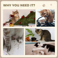 Load image into Gallery viewer, 2-in-1 Cat Scratcher, Cat Scratching Board with Organic Catnip, Cardboard Lounge for Indoor Cats, 29.5 x 56 x 26cm, Brown
