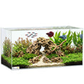 Load image into Gallery viewer, 51L Fish Tank, Glass Aquarium, Small Fish Tank with Protective Base Mat, for Shrimps, Turtles, Transparent, 60 x 30 x 30 cm
