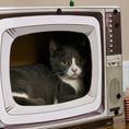 Load image into Gallery viewer, Cardboard Cat House with Scratcher, Catnip, TV-Shaped Cat Play House with Toy Mouse for Indoor Cats
