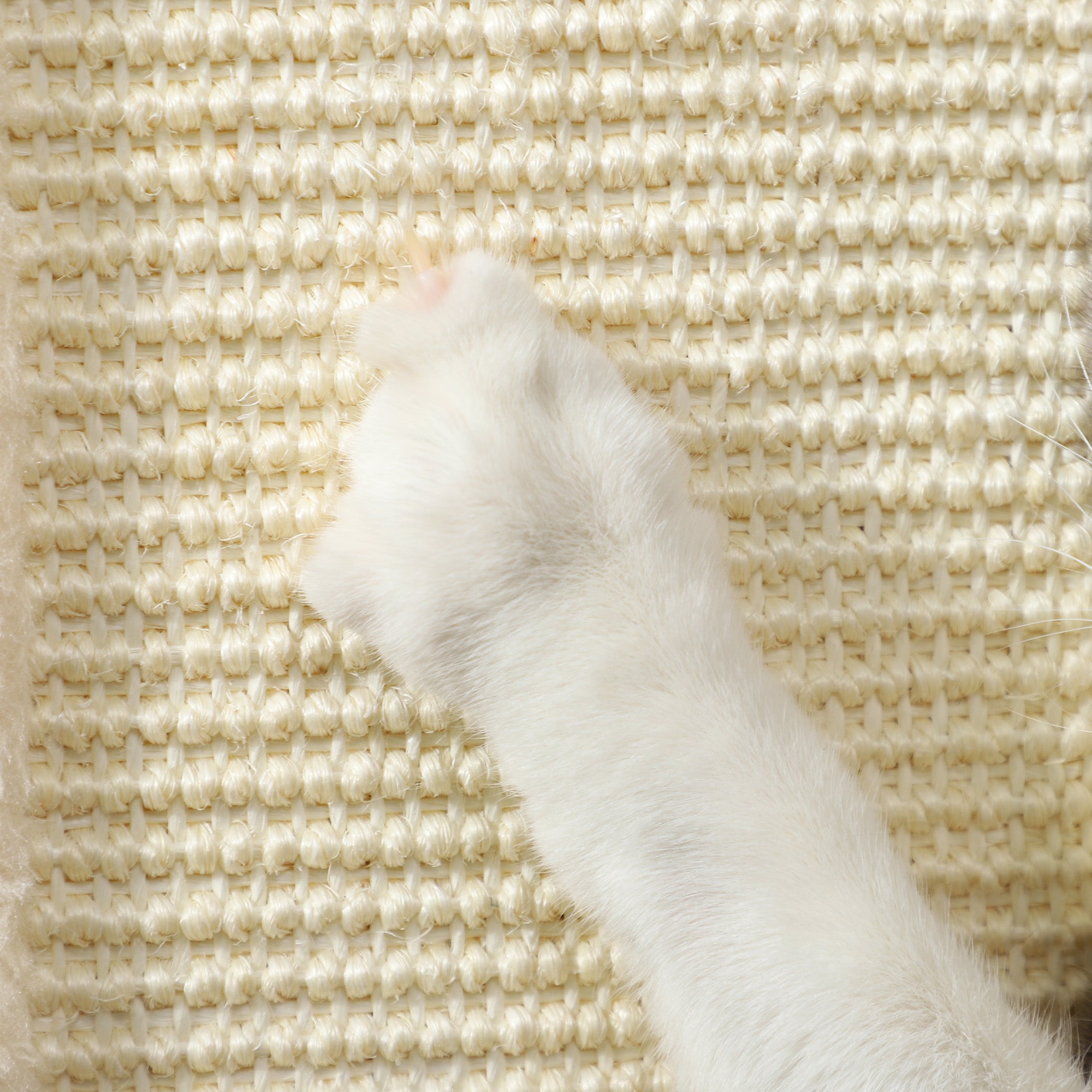 Cat Scratching Post, 67cm Cat Scratcher with Sisal Scratching Post, Track Ball Toy, Hanging Ball, 3 in 1 Cat Scratcher Post for Indoor Kittens