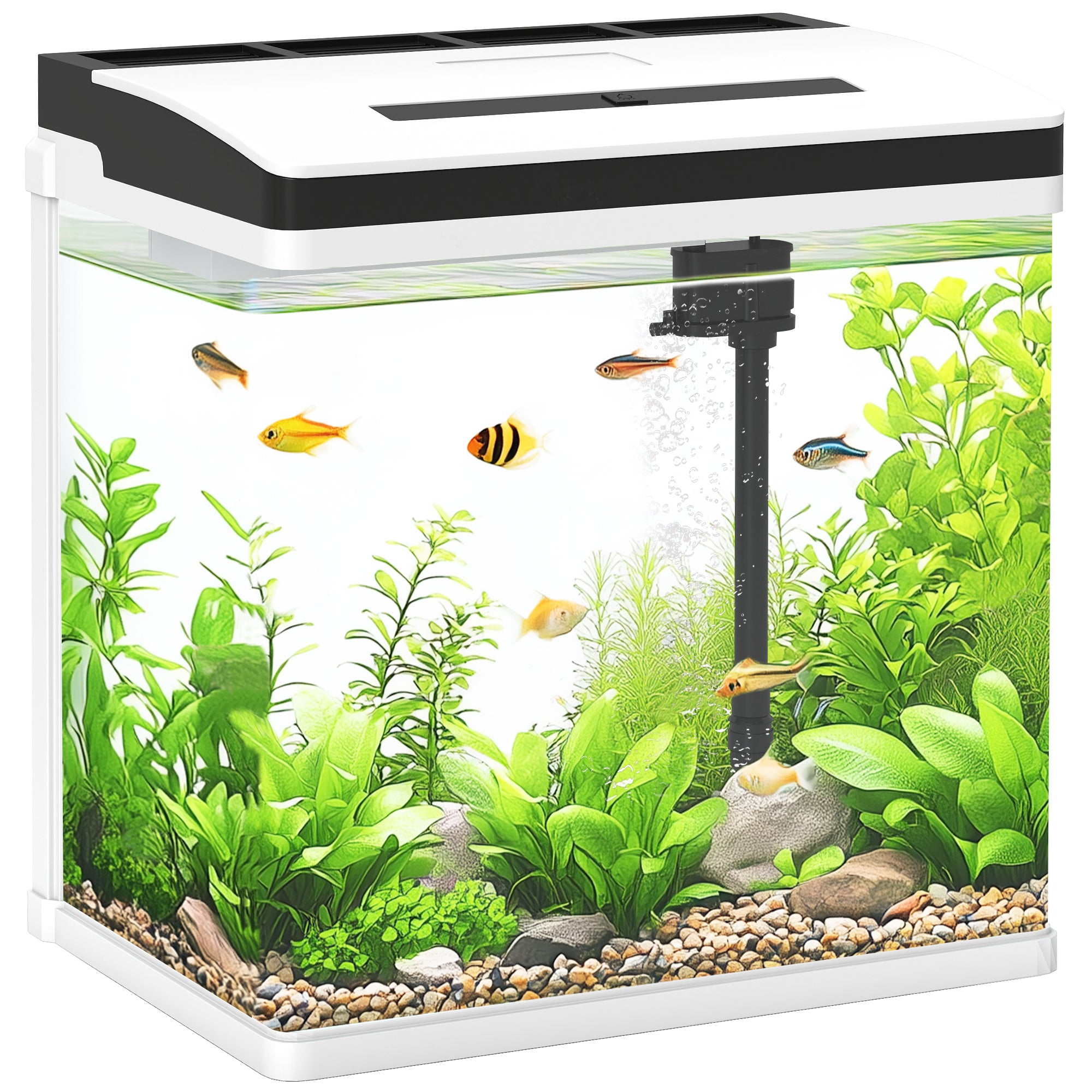 Aquarium, 13L Glass Fish Tank with Filter, LED Lighting, Water Pump, for Bettas, Guppies, Mini Parrot Fishes, Shrimp, Goldfish, 29 x 20 x 30.5cm