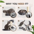 Load image into Gallery viewer, 4Pcs Cat Wall Shelf with Scratching Post, Cat Wall Shelves for Relaxing, Climbing, Cat Wall With Soft Ladder, Hammock, Play Balls, Dark Grey
