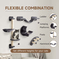 Load image into Gallery viewer, 4Pcs Cat Wall Shelf with Scratching Post, Cat Wall Shelves for Relaxing, Climbing, Cat Wall With Soft Ladder, Hammock, Play Balls, Dark Grey
