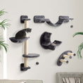 Load image into Gallery viewer, 4Pcs Cat Wall Shelf with Scratching Post, Cat Wall Shelves for Relaxing, Climbing, Cat Wall With Soft Ladder, Hammock, Play Balls, Dark Grey
