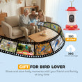 Load image into Gallery viewer, Hummingbird Ｗater Feeder with Camera, AI Identify 16000+ Birds, 2K HD Live Video, 3W Solar, Bird Feeder Camera with Arrival Alerts, Capture Live Video, Gift for Enthusiast
