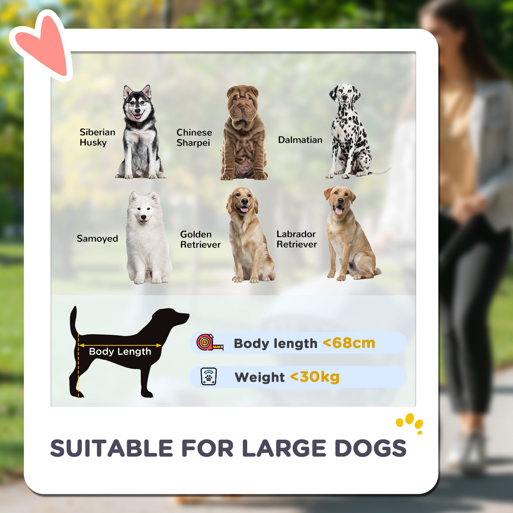 Pet Stroller for Small Medium Large Dogs and Cats, Foldable Dog Stroller with 4 Wheels, Shock-Absorbing Frame, Safety Leashes, Brakes, for Pets up to 66 lbs, Dark Green