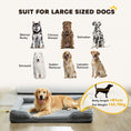 Load image into Gallery viewer, Memory Foam Dog Bed Sofa, Washable Orthopedic Dog Bed Couch with Removable Flannel Cover, 3-Sided Pet Pillow with U-Shape Bolster, Non-Slip Bottom, Grey, 112 x 80 x 16.5 cm
