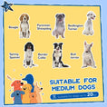 Load image into Gallery viewer, Wooden Dog Kennel, Elevated Dog house with Removable Floor, Asphalt  and Openable Roof, Large Window, Outdoor Pet House Shelter for Large Dogs, Yellow

