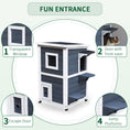 Load image into Gallery viewer, 2 Story Outdoor Cat House, Outdoor Cat Enclosure Wooden Cat Shelter with Windows, Platforms, Openable Top, Asphalt Roof, Grey
