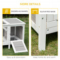 Load image into Gallery viewer, PawHut Rabbit Hutch, Bunny Cage, Guinea Pig House with Pull-Out Tray, and Divided Board for Indoor, White
