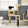 Load image into Gallery viewer, Flower Cat Tree for Indoor Cats Kitten Tower Cattail Weave with Scratching Posts, Cat House, Bed, Ladder, Washable Cushions, 57 x 37 x 100.5 cm - Natural Finish
