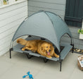 Load image into Gallery viewer, 48" Elevated Dog Bed with Removable Canopy & Carrying Bag Gray
