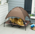 Load image into Gallery viewer, 48" Elevated Dog Bed with Removable Canopy & Carrying Bag Coffee
