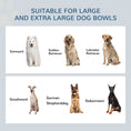 Load image into Gallery viewer, PawHut Elevated Dog Bowls with Slow Feeder Mat & Semi-Auto Dispenser Function, Pet Feeding Station with Storage Cabinet, 3 Stainless Steel Bowls, Raised Dog Bowls for Large & Extra Large Dogs, White
