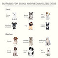 Load image into Gallery viewer, Raised Dog Bowl Feeding Bowls with Stand for Medium Dogs Elevated Pet Bowls Water Food Feeder 58L x 31W x 25H cm - White

