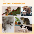 Load image into Gallery viewer, Cat Wheel for Indoor Cats, Cat Treadmill with Brake, Scratching Pads, Cat Exercise Wheel for Health - Grey
