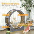Load image into Gallery viewer, Cat Wheel for Indoor Cats, Cat Treadmill with Brake, Scratching Pads, Cat Exercise Wheel for Health - Grey
