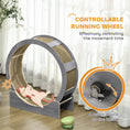 Load image into Gallery viewer, Cat Wheel for Indoor Cats, Cat Treadmill with Brake, Scratching Pads, Cat Exercise Wheel for Health - Grey
