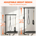 Load image into Gallery viewer, Dog Grooming Arm with Clamp, Adjustable Foldable Dog Grooming with 2 Loop Noose for Small and Medium Breeds, 18.9" -32.3", Black
