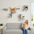 Load image into Gallery viewer, Cat Wall Shelves, 4 Pcs Cat Wall Furniture Set, Kitty Climber Set with Condo, Scratching Posts, Hammock, Bed, Hanging Pompoms for indoor kittens, Light Grey
