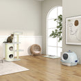 Charger l'image dans la visionneuse de la galerie, Rattan Cat House, Wicker Kitten Bed with Cushion, Elevated Pet Bed for Indoor Cats, Natural Wood
