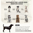 Charger l'image dans la visionneuse de la galerie, Dog Sofa, 39" Cat Couch with Removable Cushion, Washable Cover, Wooden Legs, Elevated Pet Cat Sofa for Medium & Large Dogs, Light Grey

