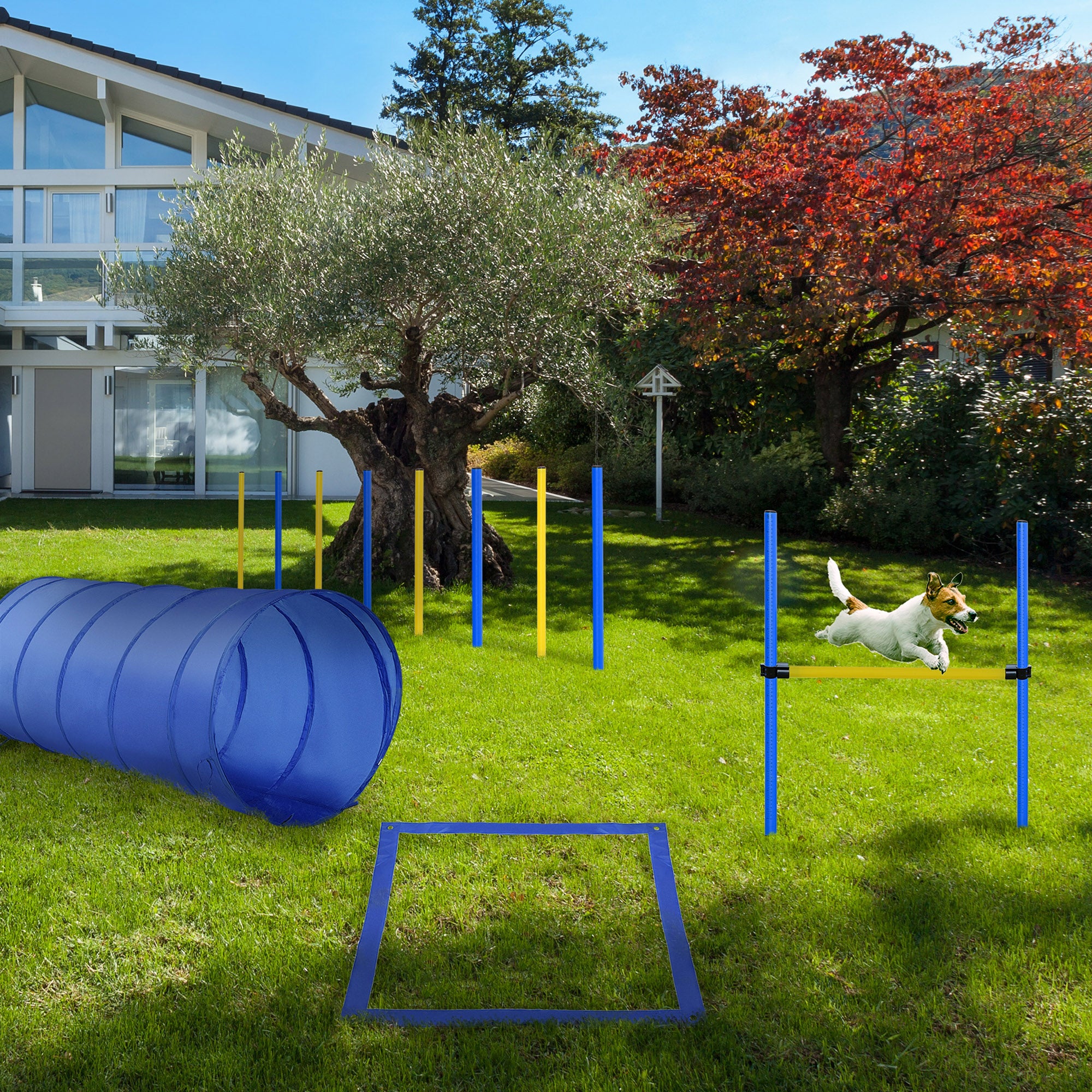 4PC Obstacle Dog Agility Training Course with Jump Hurdle, Tunnel, Pause Box, Weave Poles and Carrying Bag, Backyard Competitive Equipment- Blue/Yellow