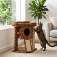 Charger l'image dans la visionneuse de la galerie, Cat Tree, Small Cat Tower with Perch, Scratching Post, Pet Condo, Toy Ball for Kitty, Indoor Use, Leopard Print
