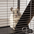 Load image into Gallery viewer, Small Animal Cage with Wheels Pet Home for Chinchillas Ferrets Kittens, with Hammock, 4 Platforms, Removable Tray, Silver
