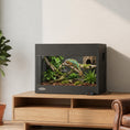Load image into Gallery viewer, Reptile Terrarium, High-Strength Reptile Vivarium with Sliding Glass Doors, Secure Lock and Top Ventilation, Tarantula Enclosure for Bearded Dragon, Snake and Gecko, 60 x 45 x 45 cm, Black
