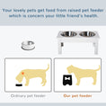 Load image into Gallery viewer, Raised Dog Bowl Feeding Bowls with Stand for Extra Small and Small Dogs Elevated Pet Bowls Water Food Feeder 44L x 24W x 15H cm - White
