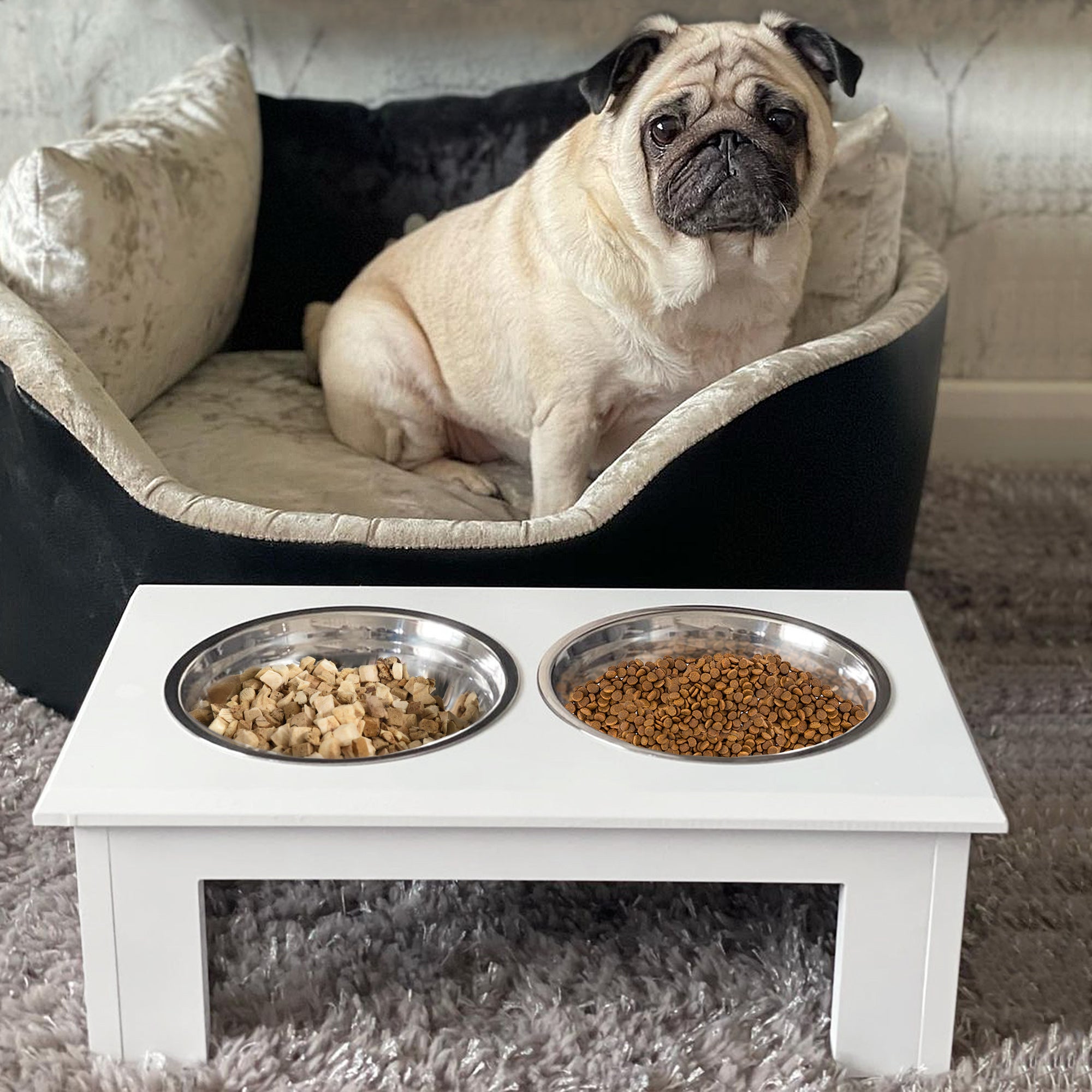 Raised Dog Bowl Feeding Bowls with Stand for Extra Small and Small Dogs Elevated Pet Bowls Water Food Feeder 44L x 24W x 15H cm - White