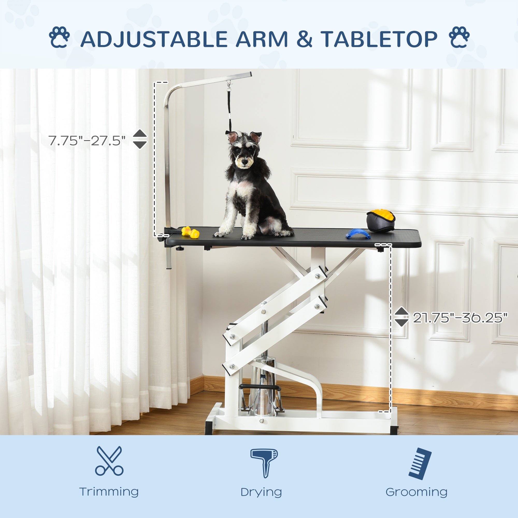 43"L Hydraulic Dog Grooming Table, Deluxe Professional Z-Lift Adjustable Height UP 440lbs for Small Medium Large Pet Dogs, with Safety Leash - Black