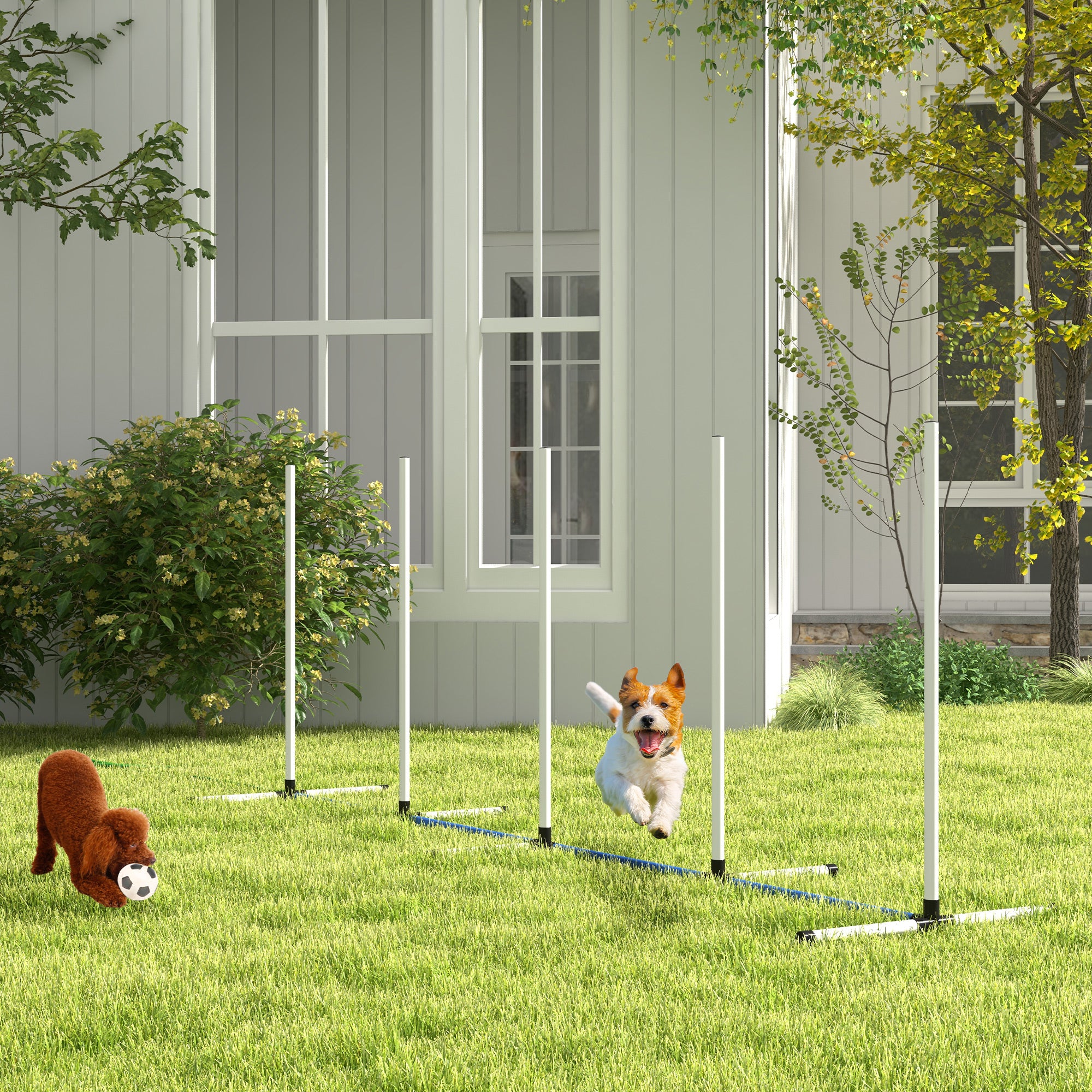 2PCs Dog Agility Equipment Set, Dog Agility Kit with Weave Poles, Spray Water Tube, Whistle, Carry Bag, for Outdoor, Backyard, Garden, White