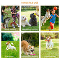 Gallery viewerに画像を読み込む, 3PC Dog Agility Equipment Set, Obstacle Course Exercise for Dog Include Adjustable Hurdle, Hoop, Weave Poles and Carry Bag
