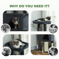 Charger l'image dans la visionneuse de la galerie, Cat Tree, 47 Inch Cat Tower with Large Cozy Condo, Hammock, Bed, Ladder, Toy Balls, Sisal Scratching Posts, for Indoor Kittens, Dark Grey
