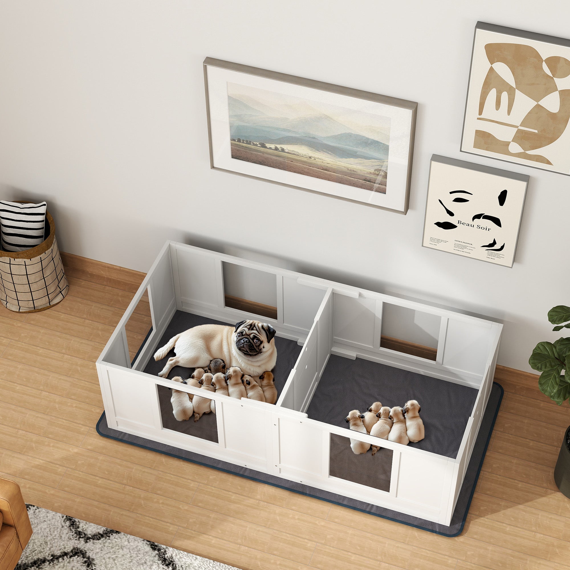 Whelping Box for Dogs with Water-Resistant Washable Whelping Pad, Dog Whelping Box with Clear Panels, Adjustable Entrance, Two Room Design, Non-Slip Foot Pads, for Small Dogs, 164 x 80cm