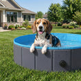 Load image into Gallery viewer, Foldable Dog Pool for Puppies and Ducks, Thickened PVC Dog Paddling Pool Bath Tub Hard Board, Anti-Slip Bottom and Hose Adapter for Easy Drainage, 100 x 30cm, Blue and Dark Grey
