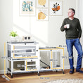Load image into Gallery viewer, Rabbit Hutch with Run, 2-Tier Wooden Guinea Pig Hutch with Wheels, 2 Openable Tops, 3 Plastic Trays, Small Animal House Indoor for 2-3 Bunnies, Guinea Pigs, 147 x 45 x 89.5cm, Grey
