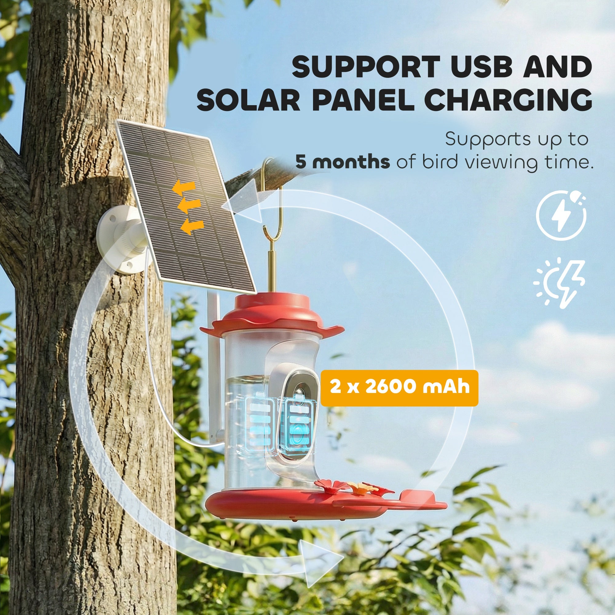 Hummingbird Ｗater Feeder with Camera, AI Identify 16000+ Birds, 2K HD Live Video, 3W Solar, Bird Feeder Camera with Arrival Alerts, Capture Live Video, Gift for Enthusiast