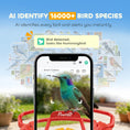 Load image into Gallery viewer, Hummingbird Ｗater Feeder with Camera, AI Identify 16000+ Birds, 2K HD Live Video, 3W Solar, Bird Feeder Camera with Arrival Alerts, Capture Live Video, Gift for Enthusiast
