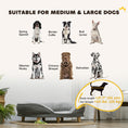 Load image into Gallery viewer, Dog Sofa Bed for Large Sized Pet, Cat Sofa with Soft Velvet Fabric, Removable Cushion, Washable Cover, Anti-Slip Foot Pads, 55 lbs Dog Couch, Grey
