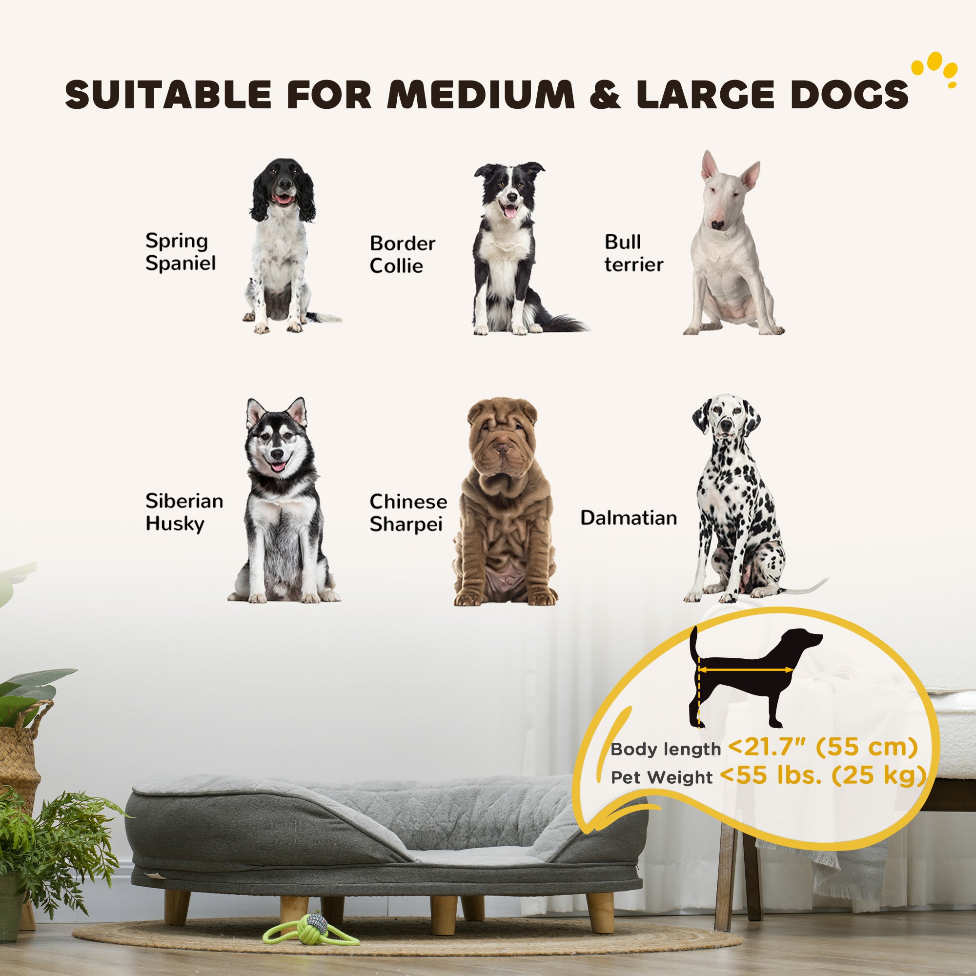 Dog Sofa Bed for Large Sized Pet, Cat Sofa with Soft Velvet Fabric, Removable Cushion, Washable Cover, Anti-Slip Foot Pads, 55 lbs Dog Couch, Grey