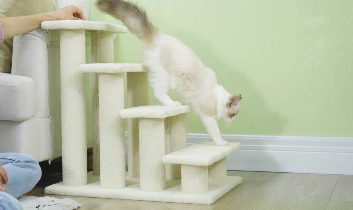cat_stairs